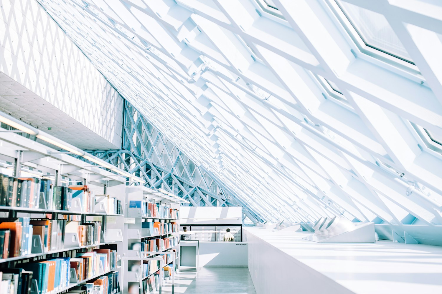 Editorial photography illustrating ai knowledge